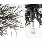 SLS1412 THE TWIG PENDANT LIGHT