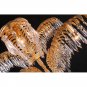 SLM7750 PALM HARROLDS CHANDELIER