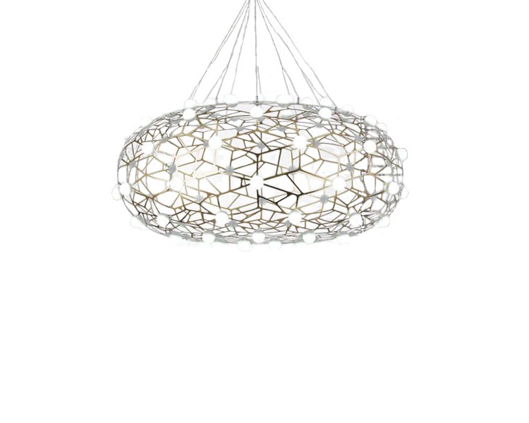 SLP2082 OVAL FINCH