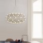 SLP2082 OVAL FINCH