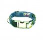 Light Blue Dog Collar