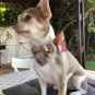 Vintage Style Bow Tie Collar