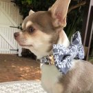 Dark grey bow tie collar