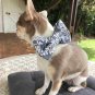 Dark grey bow tie collar