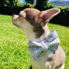 Light grey bow tie collar