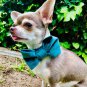 Green Velvet Bow Tie Collar