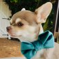 Green Velvet Bow Tie Collar