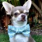 Off Green Bow Tie Collar