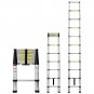 Work-It! Extension Ladder 10.5 Ft with Soft Close Spring Function