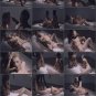 STRAPLESS LESBIANS .VOLUME.6