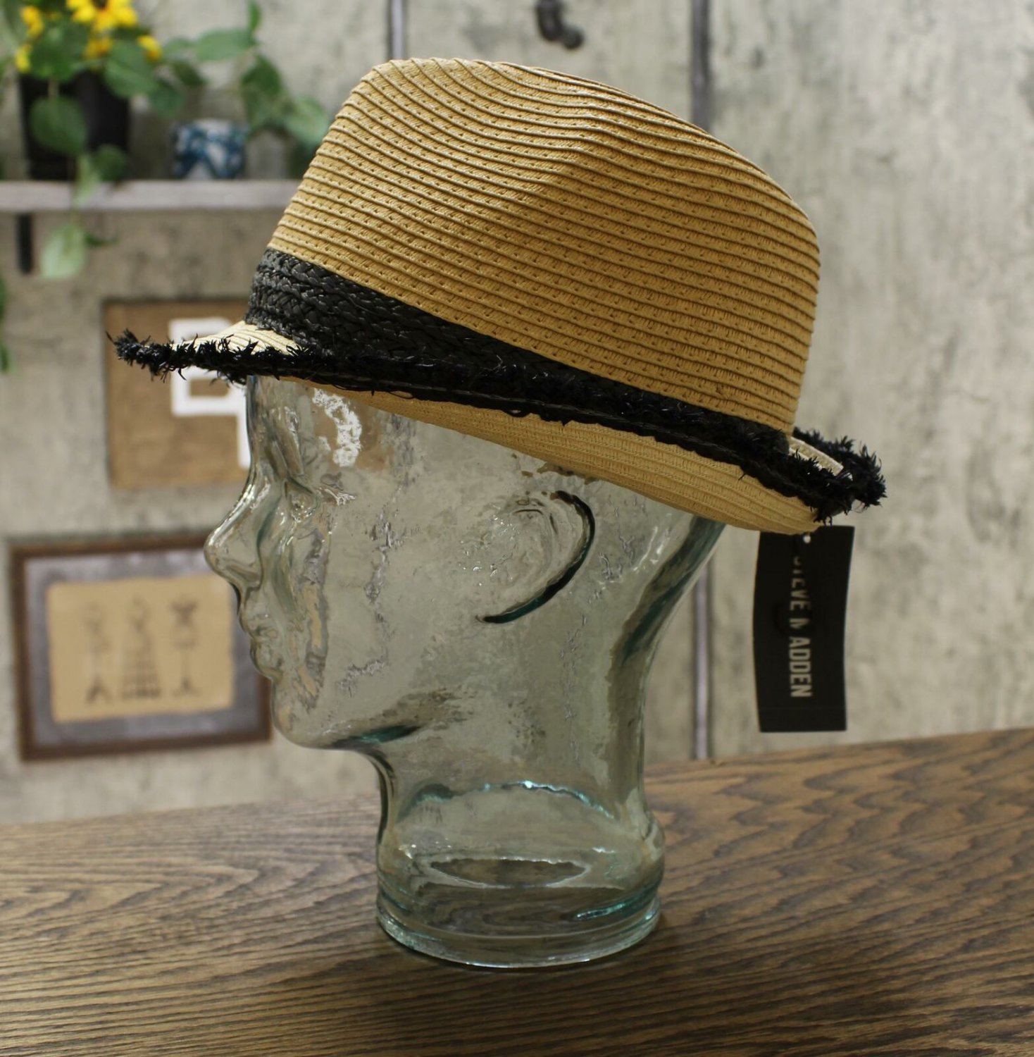 Steve Madden Women's Colorblocked Short Brim Fedora Hat One Size