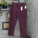 NWT Gloria Vanderbilt Amanda Classic Colored Twill Straight Jeans 30173552 4 Huckleberry Purple