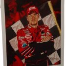 DALE EARNHARDT JR Signed / Autographed Limited Ed Photo