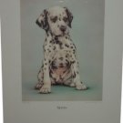 SPOTS Lithograph of Dog Pamala Hutton Signed & Numbered