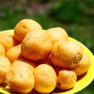 Mackarel Fish Creackers