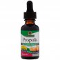 Nature's Answer, Propolis, 2,000 mg, 1 fl oz (30 ml)