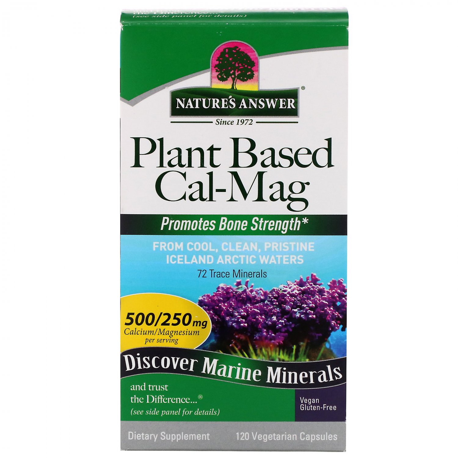 Nature's Answer, Milk Thistle, Alcohol Free, 2,000 mg, 2 fl oz (60 ml)