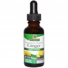 Nature's Answer, Ginger, Alcohol-Free, 1,000 mg, 1 fl oz (30 ml)
