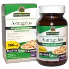 Nature's Answer, Astragalus, 500 mg, 60 Vegetarian Capsules