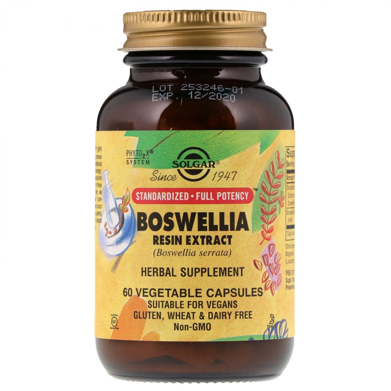Solgar, Boswellia Resin Extract, 60 Vegetable Capsules