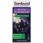 Sambucol, Black Elderberry Syrup, Sugar Free Formula, 4 fl oz (120 ml)