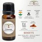 All Naturals Cinnamon Bark Essential Oil 15ml 100% Natural for Diffusers