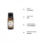 All Naturals Cinnamon Bark Essential Oil 15ml 100% Natural for Diffusers