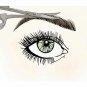 Eyebrow & Mustache Hair Trimming Stainless Steel Scissors Pack of 2, For Unisex