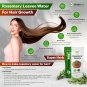 Rosemary Dried Leaf 500gm High Quality Food Grade Herbal Tea Oil & Water Mist