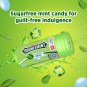 Doublemint Chewy Mint Tube Peppermint Flavor Chewy Mints 30.4gm Pack of 8