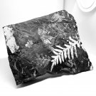 4×7" White Carboniferous Pennsylvanian Fern Frond Fossil, St. Claire PA