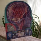 Adventures in Science: The Human Body Paperback by Courtney Acampo - SEALED!