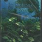Reflections, A Florida Keys Experience DVD - Sealed!