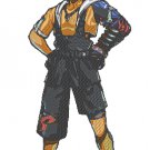 Embroidery Pattern FinalFantasy Tidus Stands