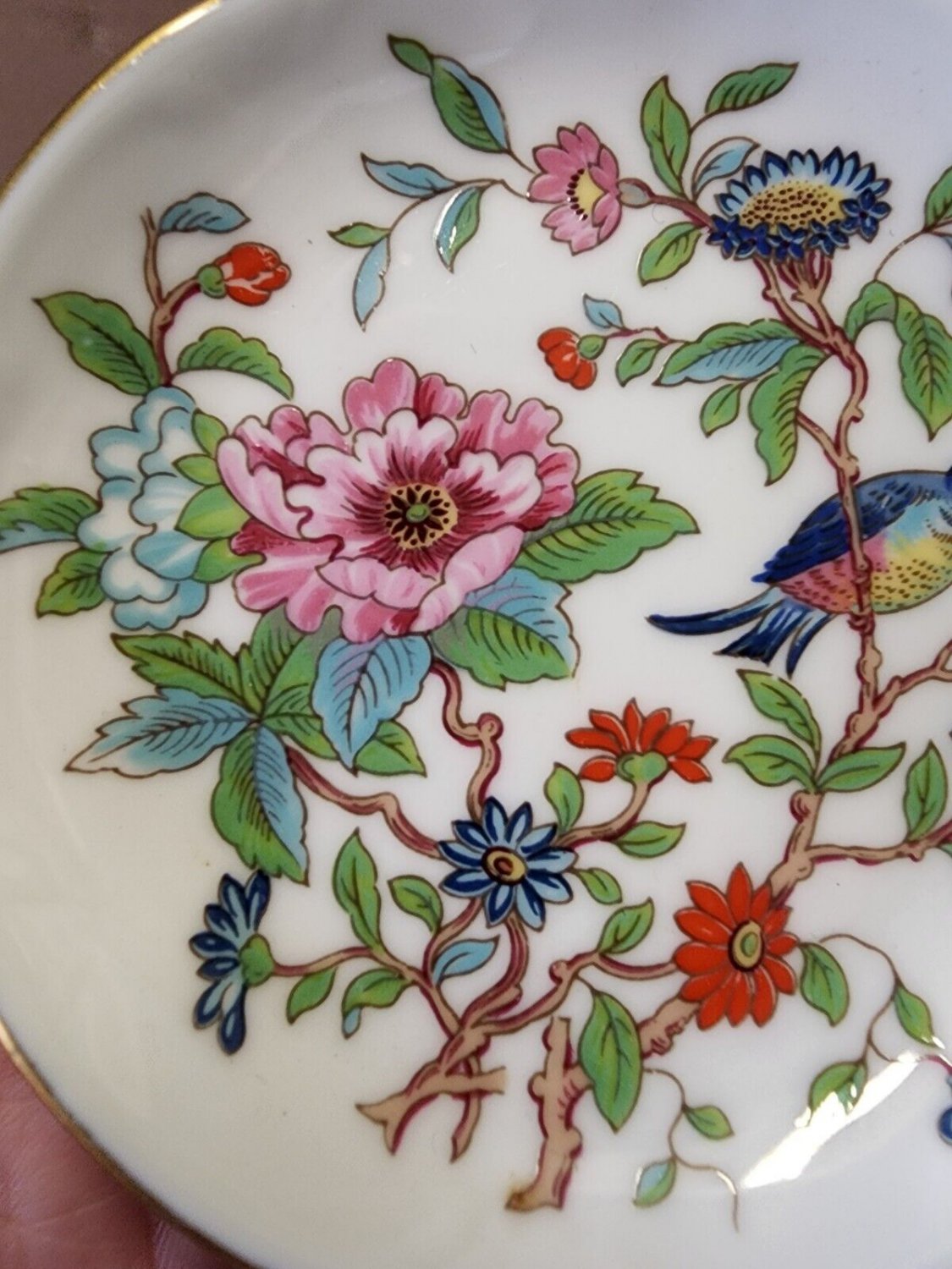 Vintage Aynsley England Hand Painted Colorful Bird And Flowers Butter Pat