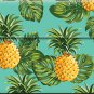 Envelope Template pineapple