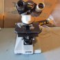 OEM nikon labophot microscope (no objective lens)