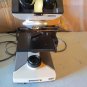 OEM olympus CH-2 binocular microscope (no objective lens)