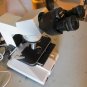 OEM nikon labophot microscope w/2 objective lens 100-100