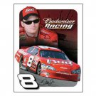 DALE EARNHARDT JR 2006 TIN SIGN METAL AD ADV SIGNS E DALE EARNHARDT JR 2006 TIN SIGN METAL AD ADV SIGNS E