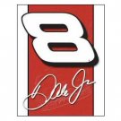 DALE EARNHARDT JR #8 TIN SIGN NASCAR COLLECTOR SIGNS E