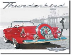 T-BIRD BEACH SCENE TIN SIGN METAL RETRO ADV SIGNS T