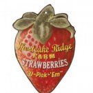 ANTIQUE STYLE STRAWBERRIES TIN SIGN FRUIT METAL SIGNS F