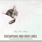 CHESAPEAKE & OHIO LINES TIN SIGN METAL ADV RETRO SIGNS M