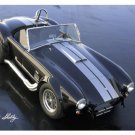 CAROLL SHELBY PHOTO PRINT HEAVY STEEL COBRA SIGN