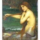 Mermaid Bath Soap heavy metal sign Colorful
