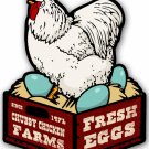 Chicken Fresh Eggs Custom Metal Shape Chicken Fresh Eggs Custom Metal Shape