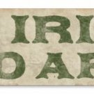 NO IRISH NEED APPLY HEAVY METAL SIGN