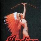 INDIAN MOTORCYCLE COMPANY POSTER SPRINGFIELD MASSACHUSETTS HEAVY METAL SIGN