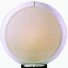 FROSTED GLASS GAS PUMP GLOBE GLASS LENSES oil filling station DECOR